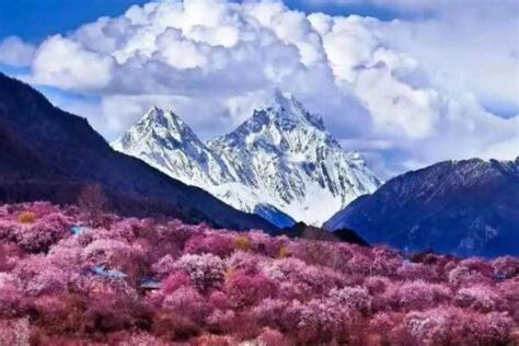 桃花位 2023